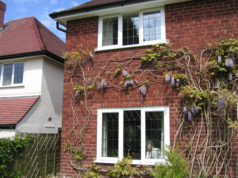 Edwardian Wandsworth